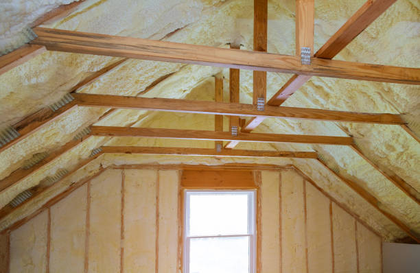 Best Blown-in Insulation  in Camden, NJ