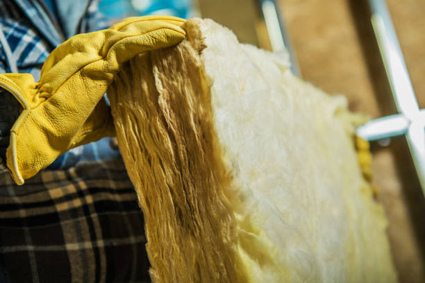 Insulation Replacement Services in Camden, NJ