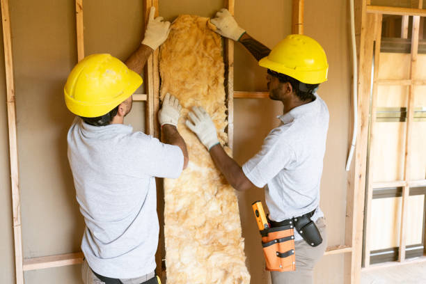 Best Commercial Insulation Contractor  in Camden, NJ
