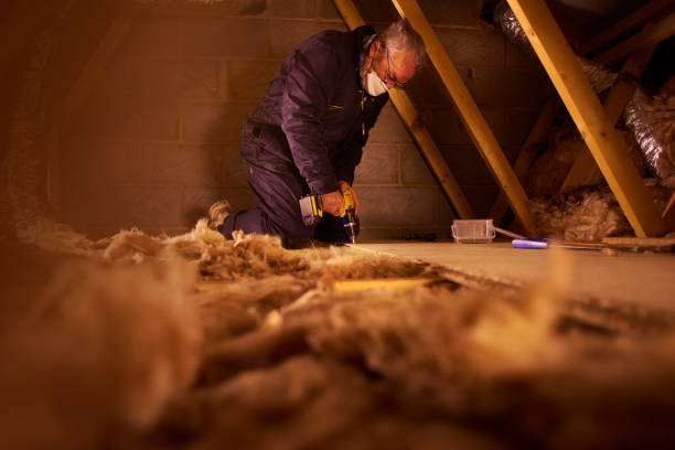 Best Garage Insulation Installation  in Camden, NJ
